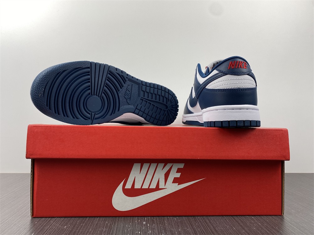 Nike Dunk Low Valerian Blue DD1391-400