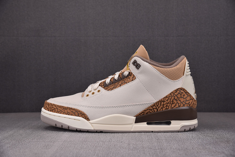 Air Jordan 3