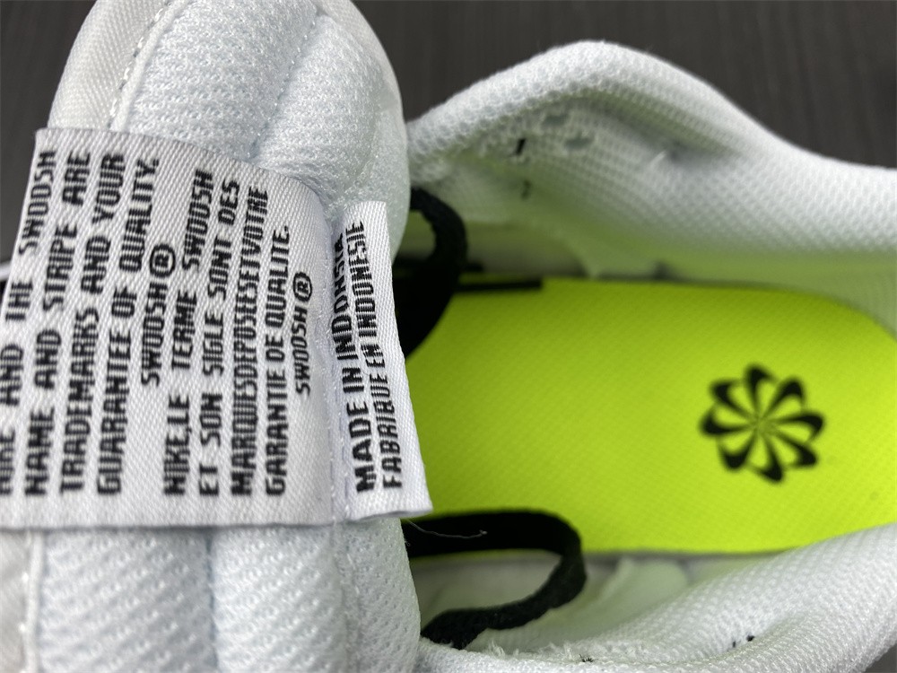 Nike Dunk Low Next Nature White Black  DD1873-102