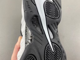 Nike Air Foamposite Pro “Wolf Grey”