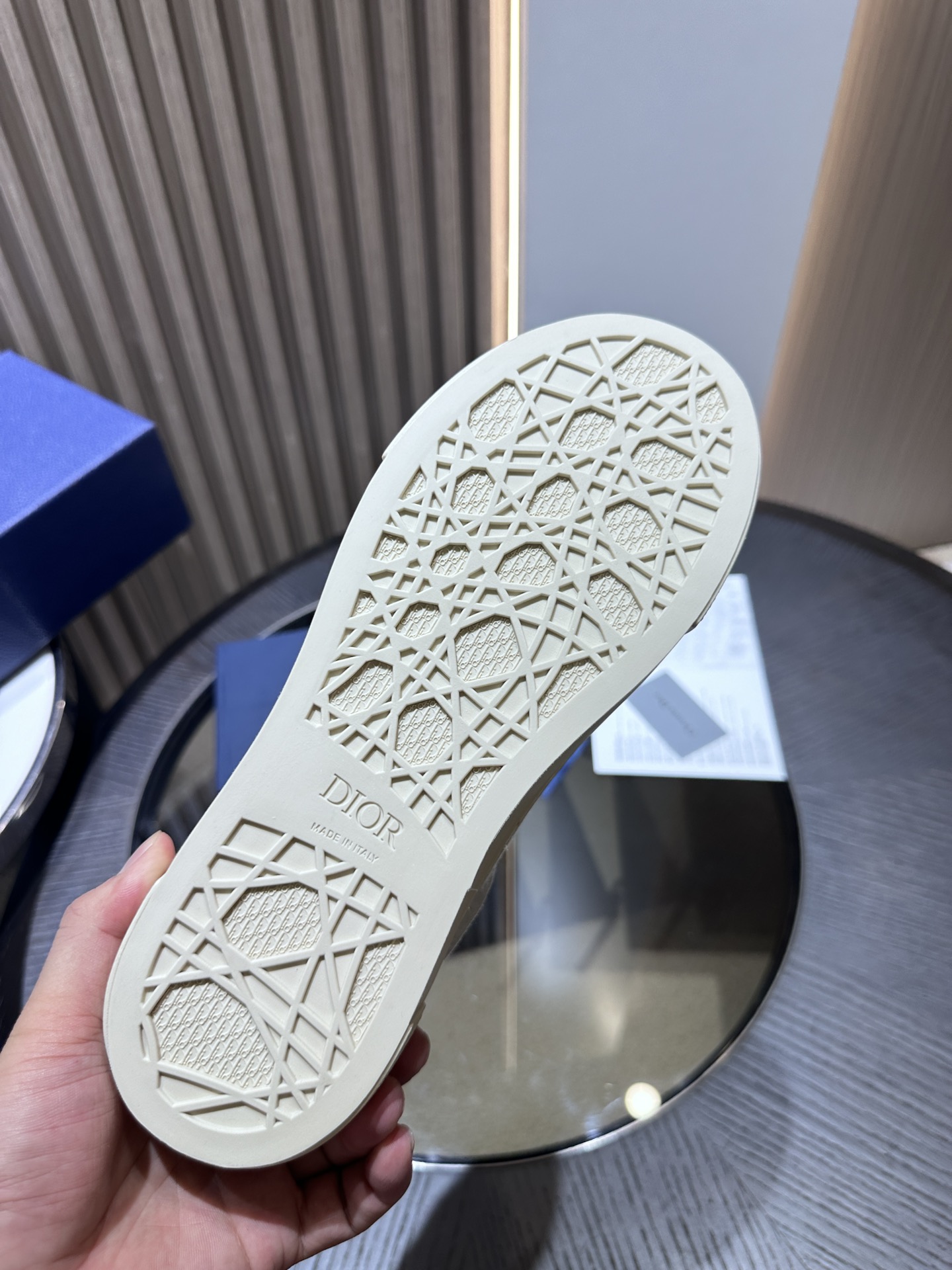 DIOR B33 SNEAKER