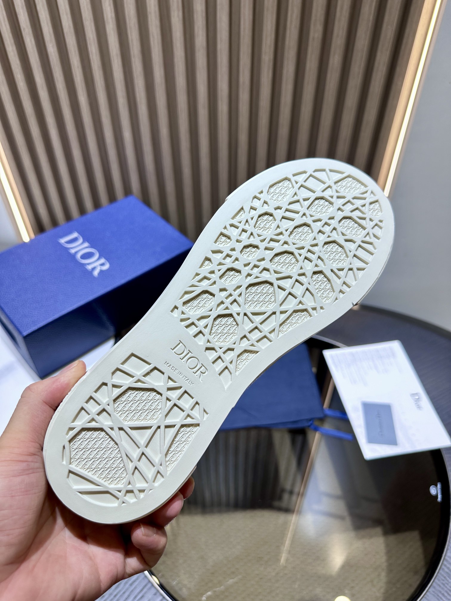 DIOR B33 SNEAKER