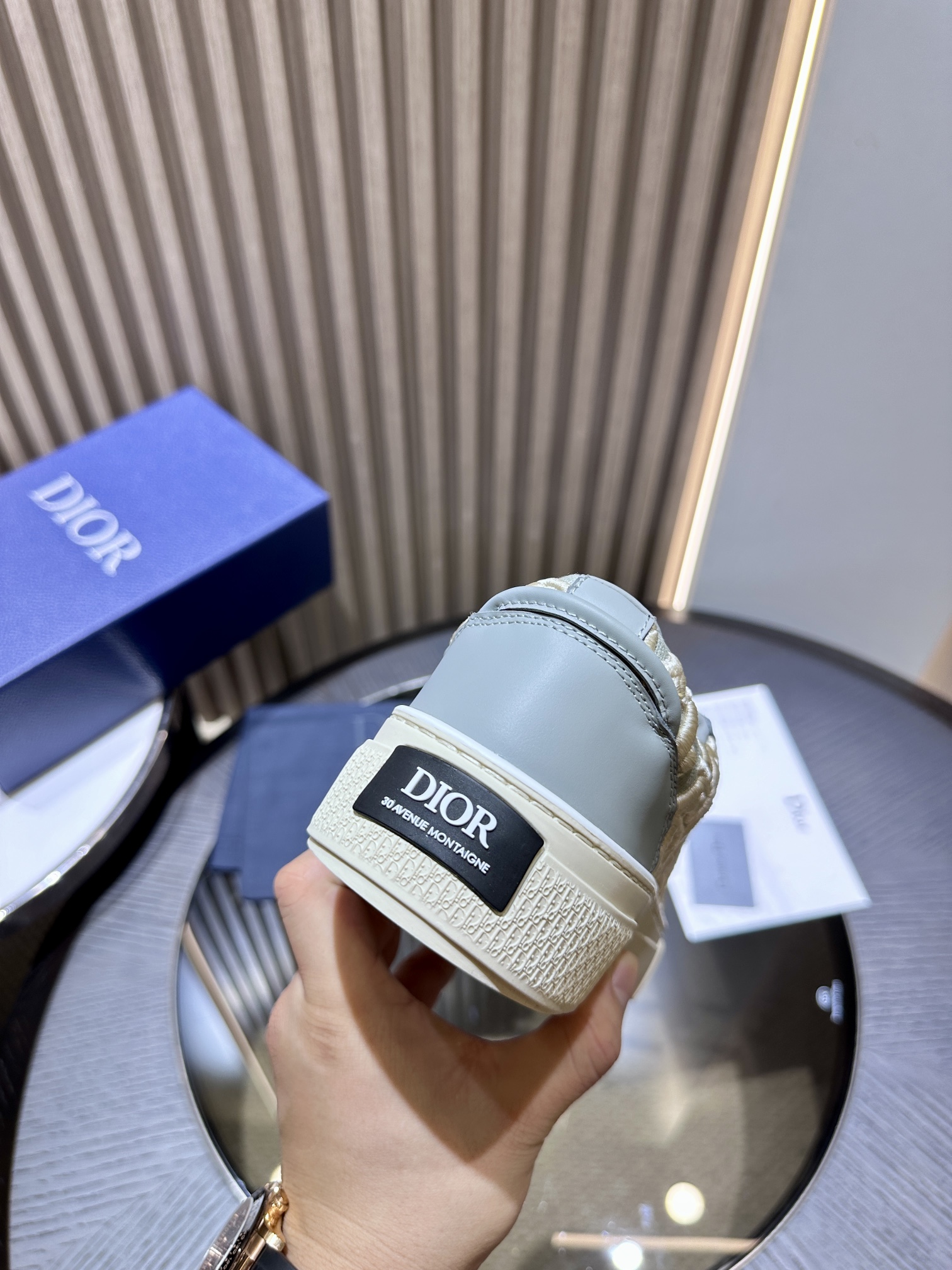DIOR B33 SNEAKER