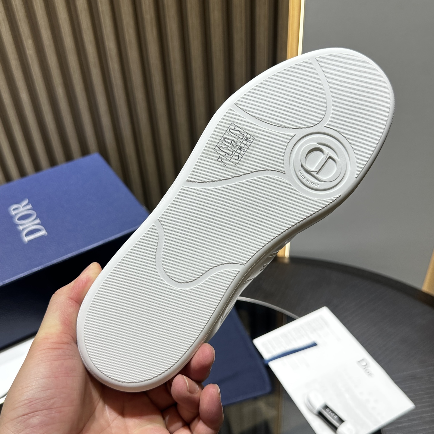DIOR B01 SNEAKER